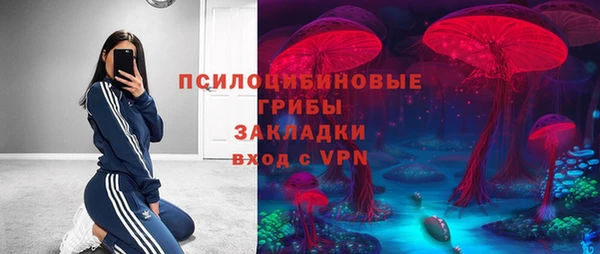 apvp Алексин