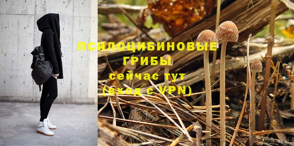 спиды Наволоки