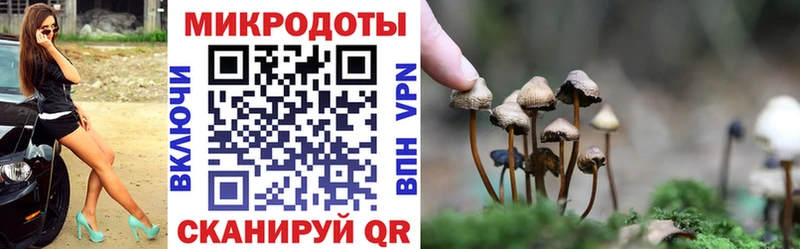 Галлюциногенные грибы мицелий  магазин    Тырныауз 